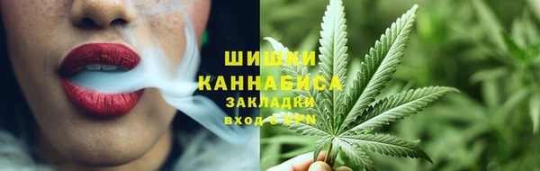 ECSTASY Бородино