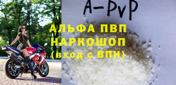 ECSTASY Бородино