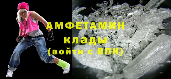 прущие грибы Бронницы