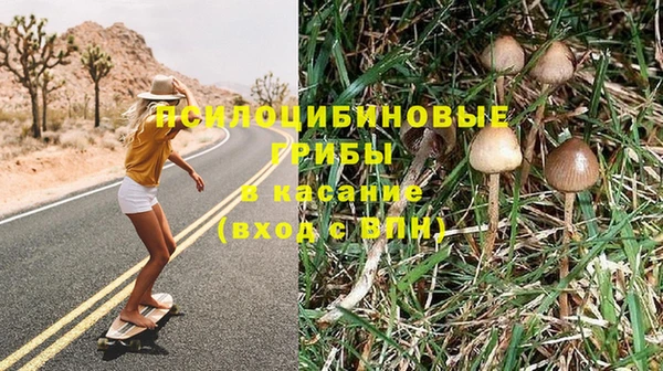 ECSTASY Бородино