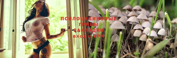 МДПВ Богданович