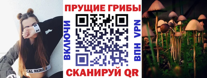 Псилоцибиновые грибы Psilocybe  купить закладку  Обь 