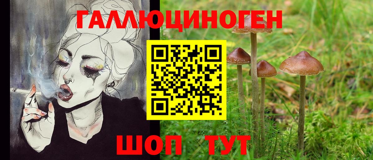 Псилоцибиновые грибы мицелий  купить   Вход с VPN  Обь  Галлюциногенные грибы Magic Shrooms 